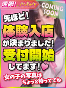 すみれ