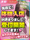 ききょう